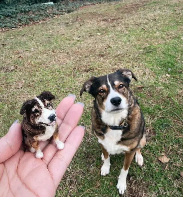 35 Adorable Mini Pets Made Of Felt By This Talented Artist