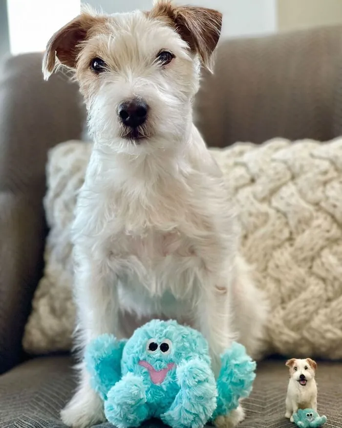 35 Adorable Mini Pets Made Of Felt By This Talented Artist