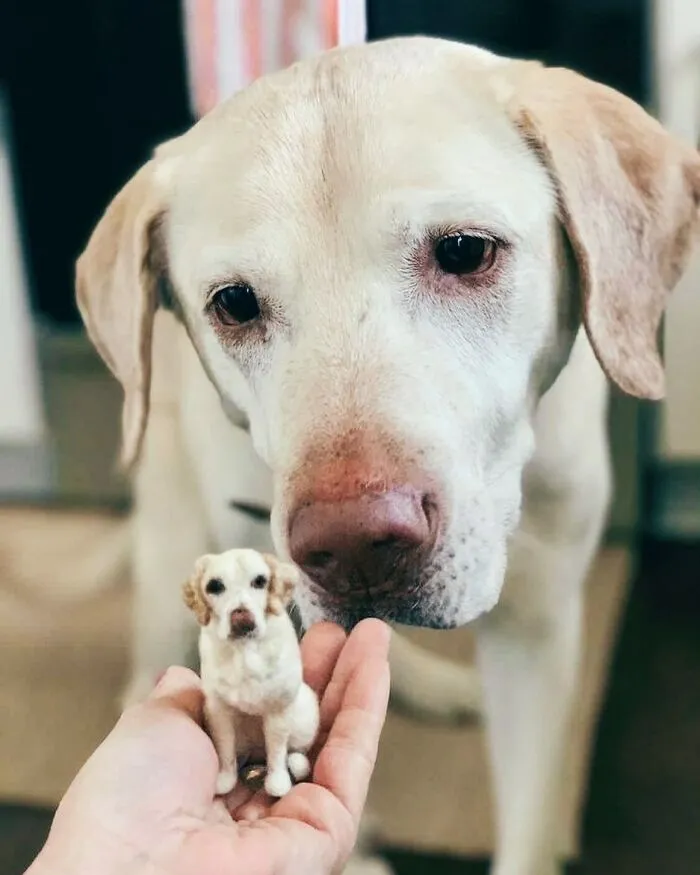 35 Adorable Mini Pets Made Of Felt By This Talented Artist