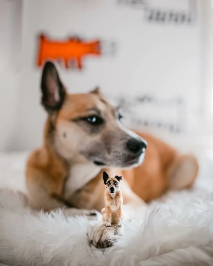 35 Adorable Mini Pets Made Of Felt By This Talented Artist