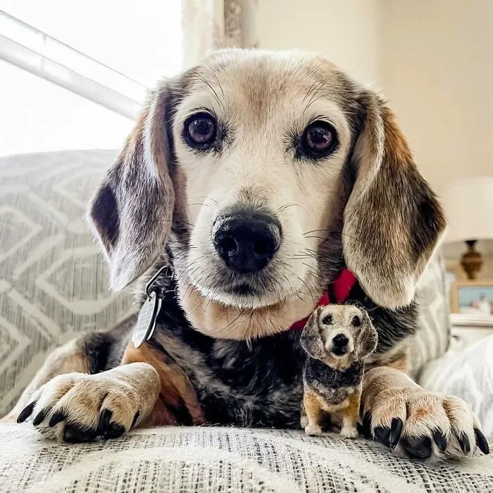 35 Adorable Mini Pets Made Of Felt By This Talented Artist