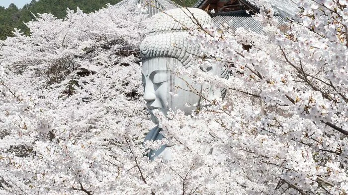 34 Lucky Coincidences Captured In The Streets By This Photographer (New Pics)