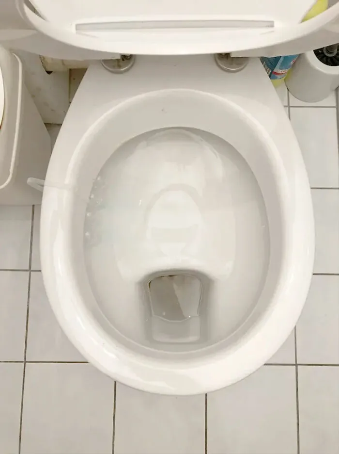 European toilet design with shelf feature, something many Americans find strange.