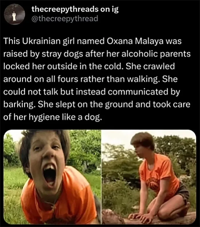 Alt text: Disturbing story of a Ukrainian girl raised by stray dogs, exhibiting animal-like behavior in a disturbing world fact.
