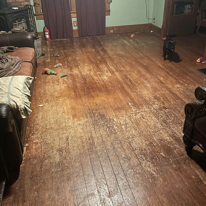 An At-Home <a Style="Display:inline;" Href="Https://Www.amazon.com/Ewbank-Ep170-Cleaner-Scrubber-Polisher/Dp/B006ekfzq4?crid=17qmo0vdf35g7&dib=eyj2ijoimsj9.rm7xnw3fnsvaxfc2qcyaadphyrbkc--Yltkyk5xaxdya5_3jodqd83sjxglwz-5rqbyeok_unp8cly_v4g1ssp9p0pmjn0idq6gtl9azqtqtvnu2vhlntmajy9tnejwv4smp_xtrpxuiua_-Vyzvt733lgdfxegdm5nw3v2_ziuwni78k7f9w3beb-Pfwspdxlkk8xm2-Nwfhhwedcbsxvtwaqxkeqbmewfes1o1rolijq8xhcesqczluvpbrtikx8tvocgx81a4pwmhwtv5qghsoogzaprzjwdijxsnp-E.7bcfjnaq8_zfhyfadq-Lfxvttt1imu5v1jnvkwt1lxo&dib_tag=se&keywords=wood%2bfloor%2bpolisher&qid=1744114446&sprefix=wood%2bfloor%2bpolishe%2caps%2c260&sr=8-6&th=1&linkcode=ll1&tag=bpzebra-20&linkid=3ef48895e7ccf2df6817a9e531166da0&language=en_us&ref_=as_li_ss_tl" Target="_blank"><span Style="Font:inherit;color:#d74b1f;"> Floor Polisher </Span> Makes All The Difference When You Are Restoring Some Precious Floors