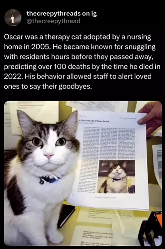 50 Creepy Facts About Disturbing Things That Really Happened