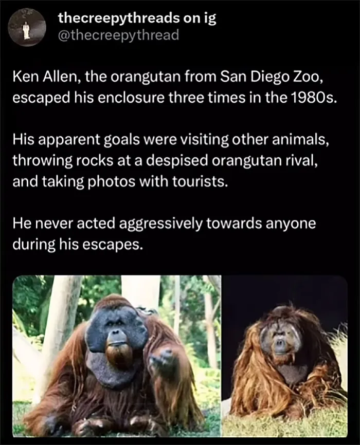50 Creepy Facts About Disturbing Things That Really Happened