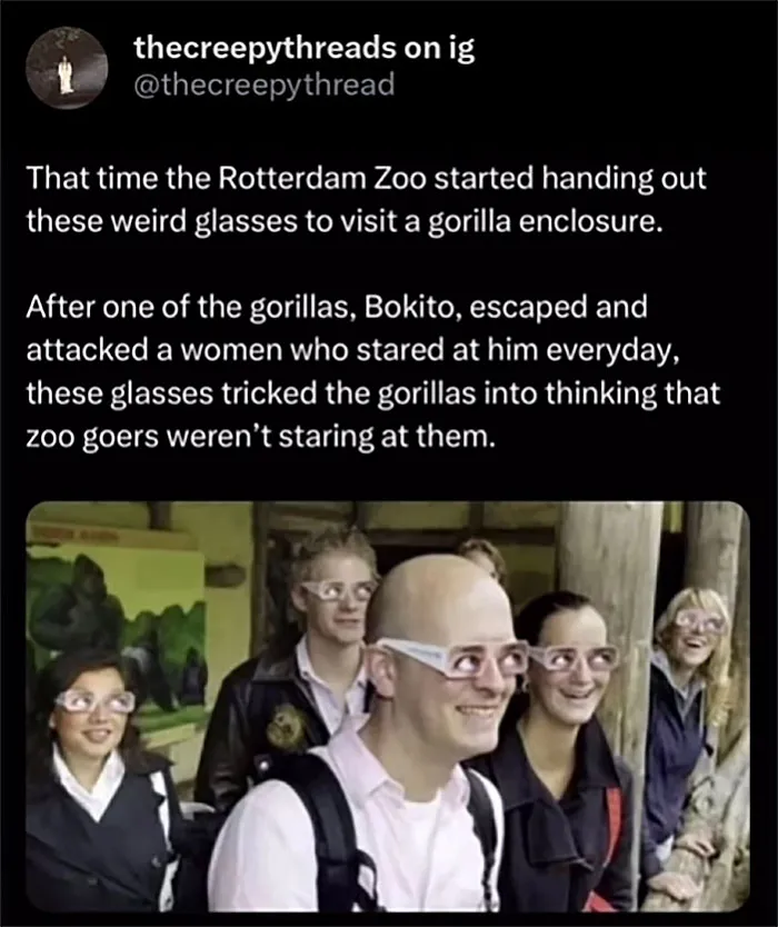 Visitors wearing special glasses at Rotterdam Zoo to avoid disturbing gorillas, a spooky fact about our world.