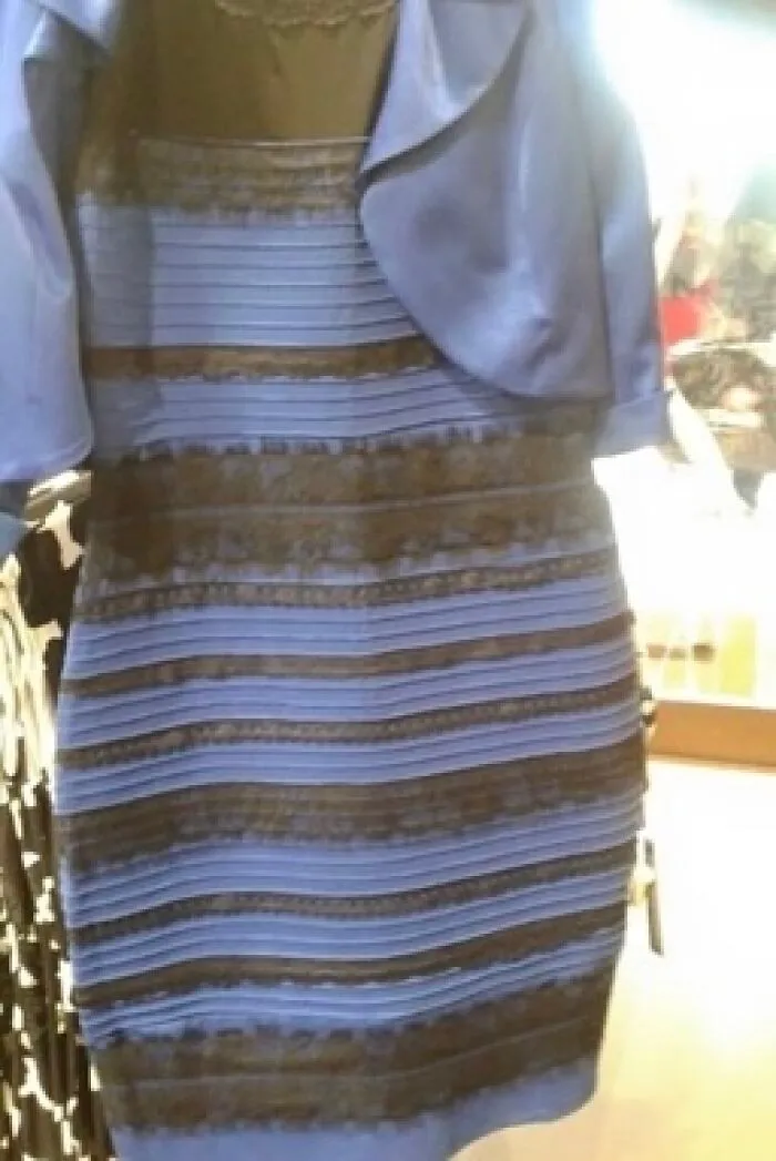 The Dress Debate: Everyone debating whether the dress is blue-and-black or white-and-gold.  Did you weigh in on that debate?