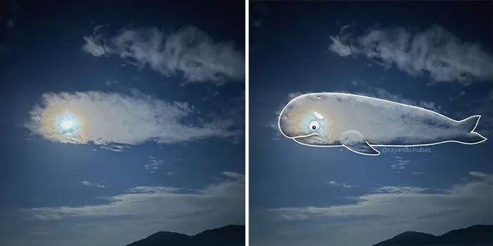 Secret Stories Hidden In The Clouds, Revealed By This Creative Artist (22 New Pics)