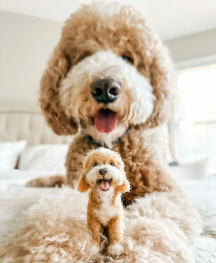 35 Adorable Mini Pets Made Of Felt By This Talented Artist