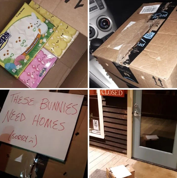 I Work At A Vet Hospital. Just Left The Morning Crew A Little April Fool's Surprise