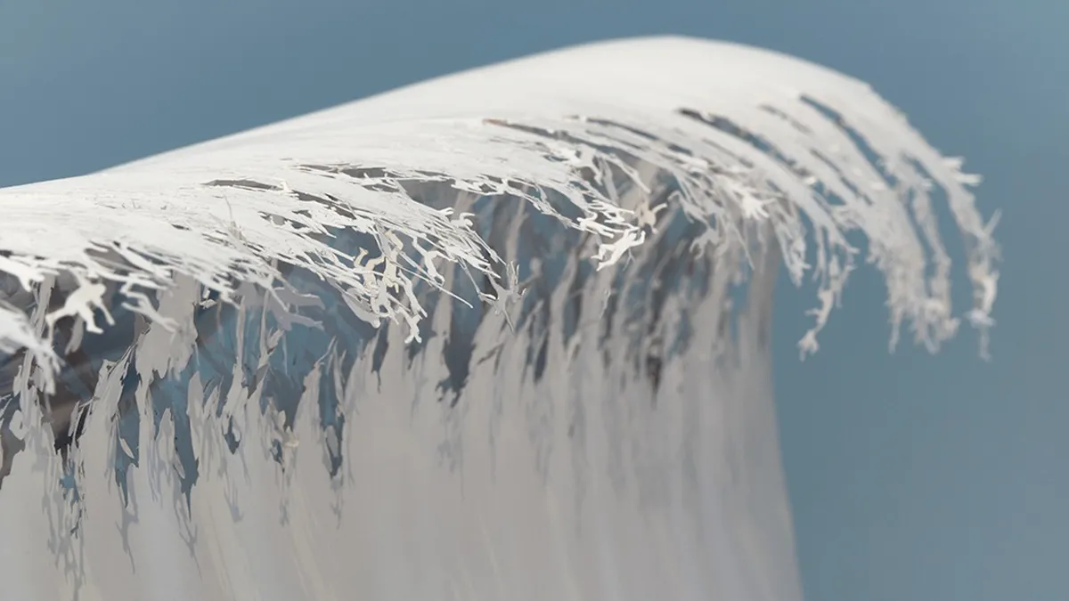 Simple Sheets Of Paper Transformed Into Jaw-Dropping Works Of Art (30 Pics)