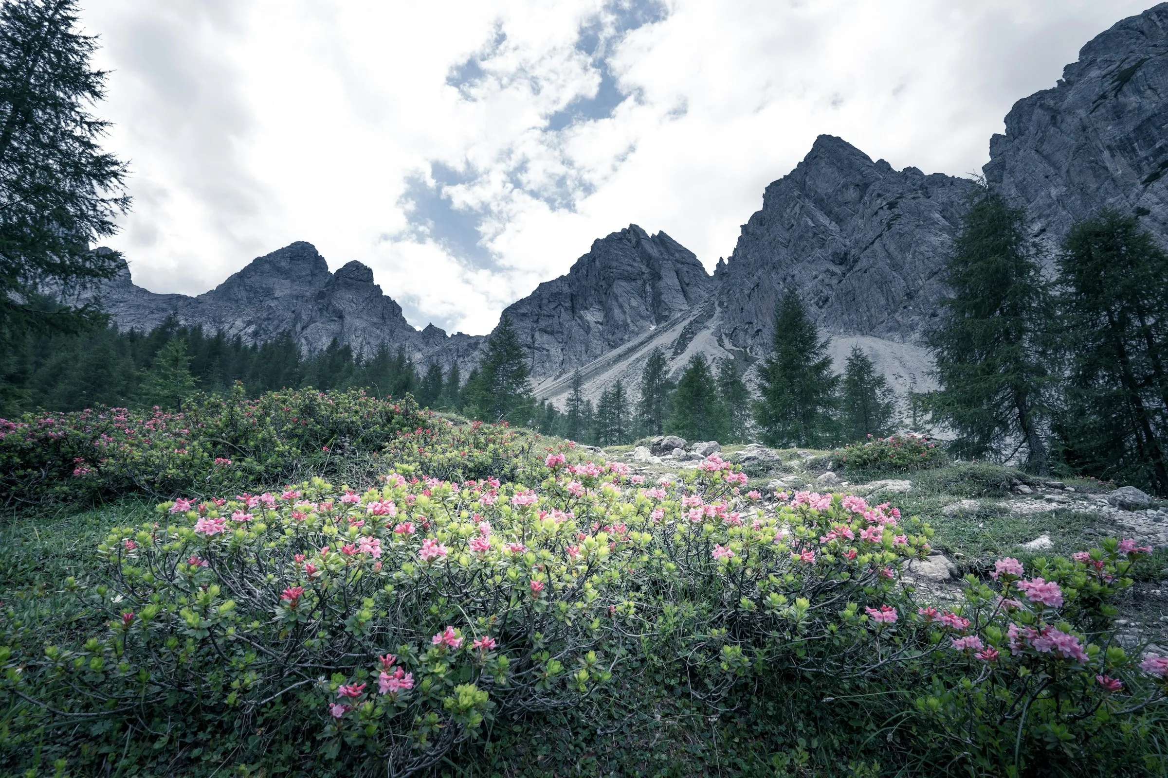 Austria Feels Like A Dream Wrapped In Mountains And Music. Every Moment Here Sings To The Soul.