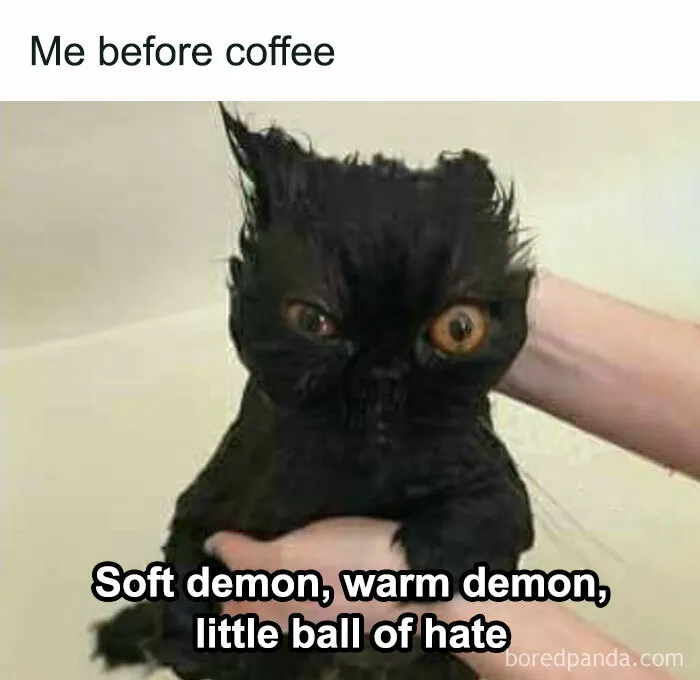 40 Funny Memes For People Who Cope With Humor Because Therapy Is Expensive (New Pics)
