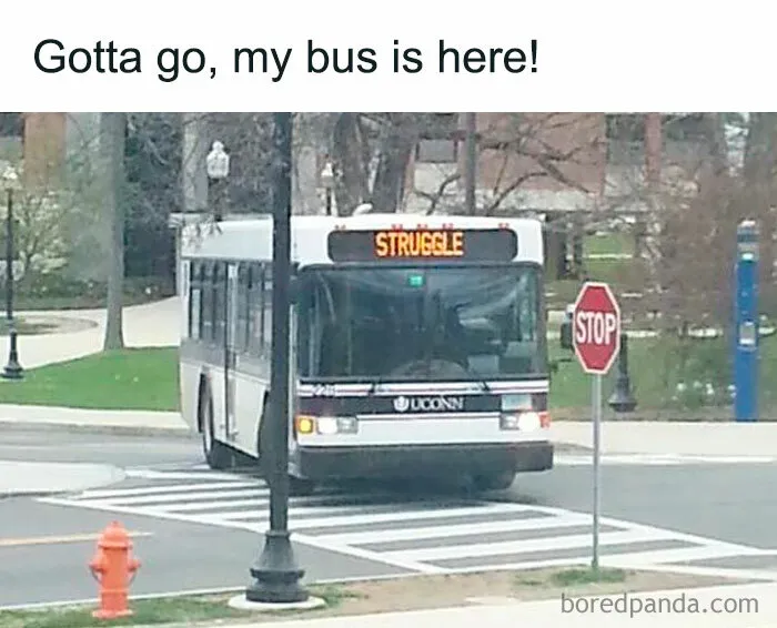 40 Funny Memes For People Who Cope With Humor Because Therapy Is Expensive (New Pics)