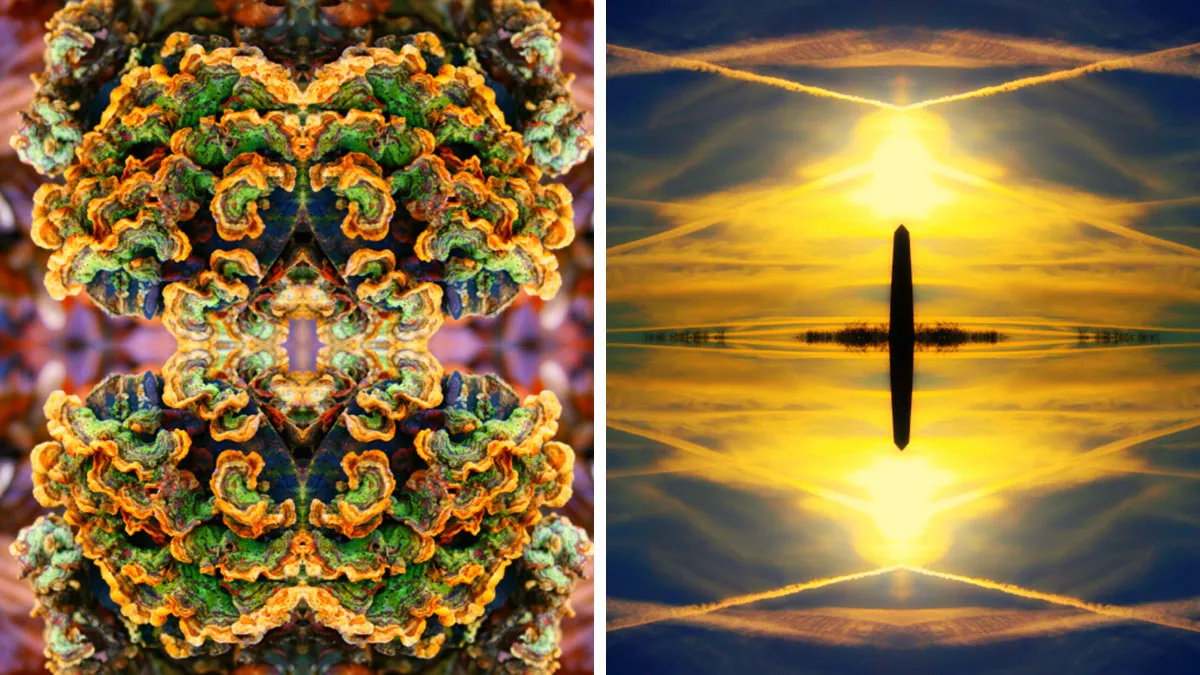 My 36 Photos Of Nature That I Took While Taking A Walk