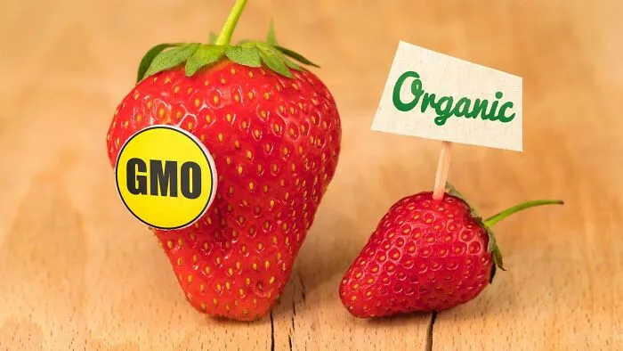 Genetically Modified Foods Are Designed To Make People Sick