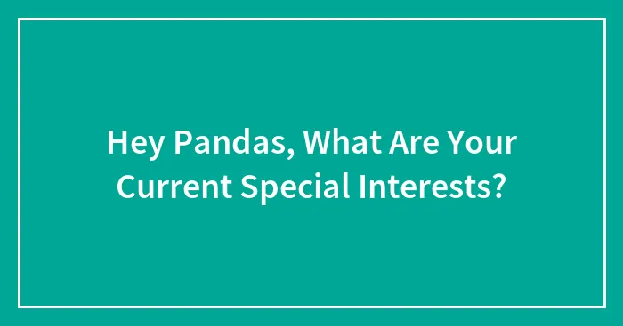 Hey Pandas, What Are Your Current Special Interests? (Closed)