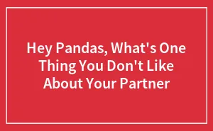Hey Pandas, What's One Thing You Don't Like About Your Partner?