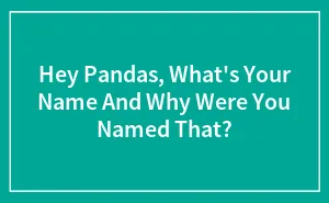 Hey Pandas, What's Your Name And Why Were You Named That? (Closed)
