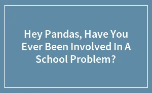 Hey Pandas, Have You Ever Been Involved In A School Problem?