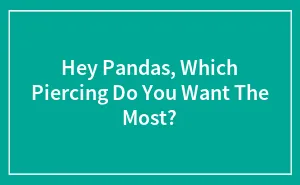 Hey Pandas, Which Piercing Do You Want The Most? (Closed)