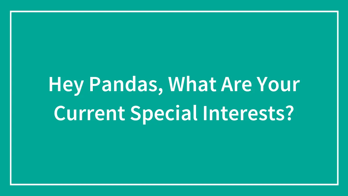 Hey Pandas, What Are Your Current Special Interests? (Closed)