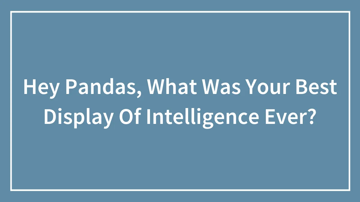 Hey Pandas, What Was Your Best Display Of Intelligence Ever?