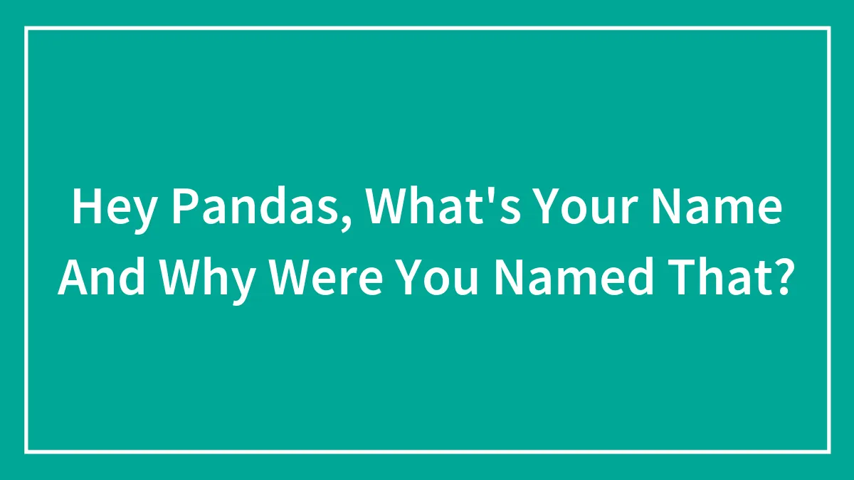 Hey Pandas, What's Your Name And Why Were You Named That? (Closed)