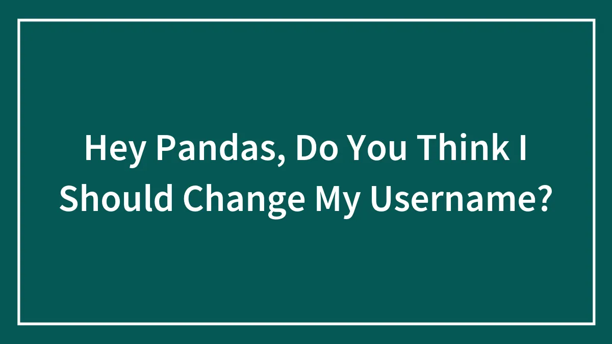 Hey Pandas, Do You Think I Should Change My Username?