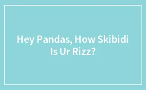 Hey Pandas, How Skibidi Is Ur Rizz?