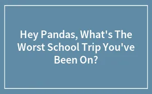 Hey Pandas, What's The Worst School Trip You've Been On? (Closed)