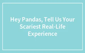 Hey Pandas, Tell Us Your Scariest Real-Life Experience (Closed)