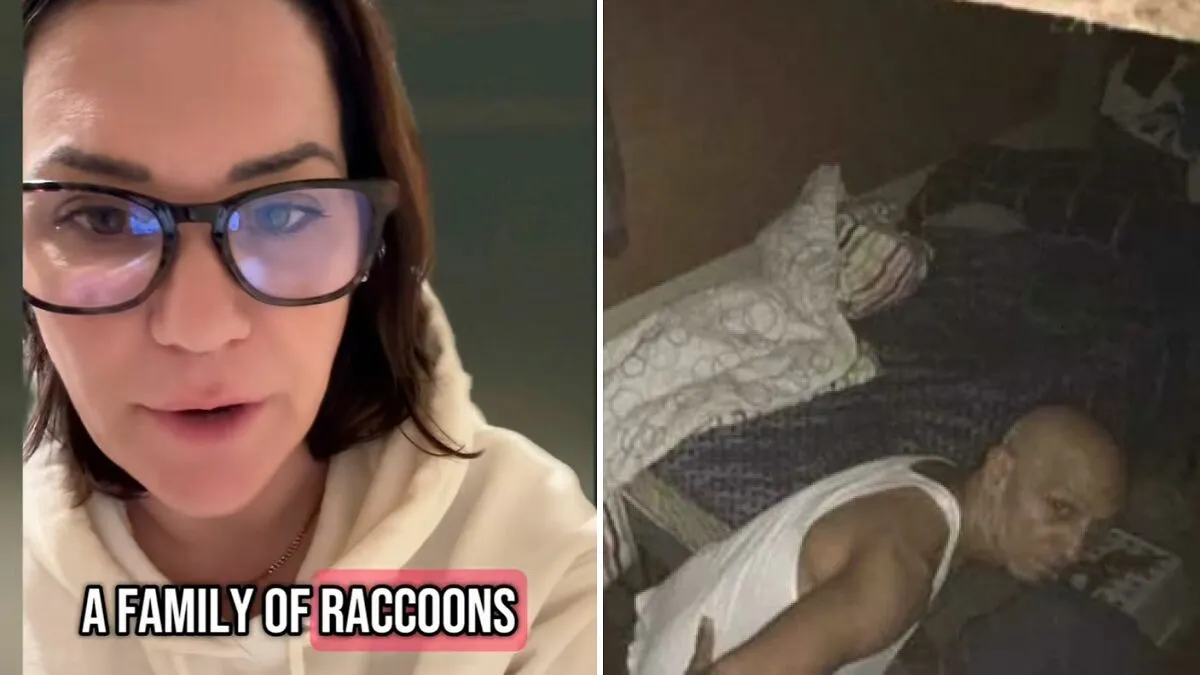 Woman Discovers Stranger “Phrogging” In Her Attic For Over A Year