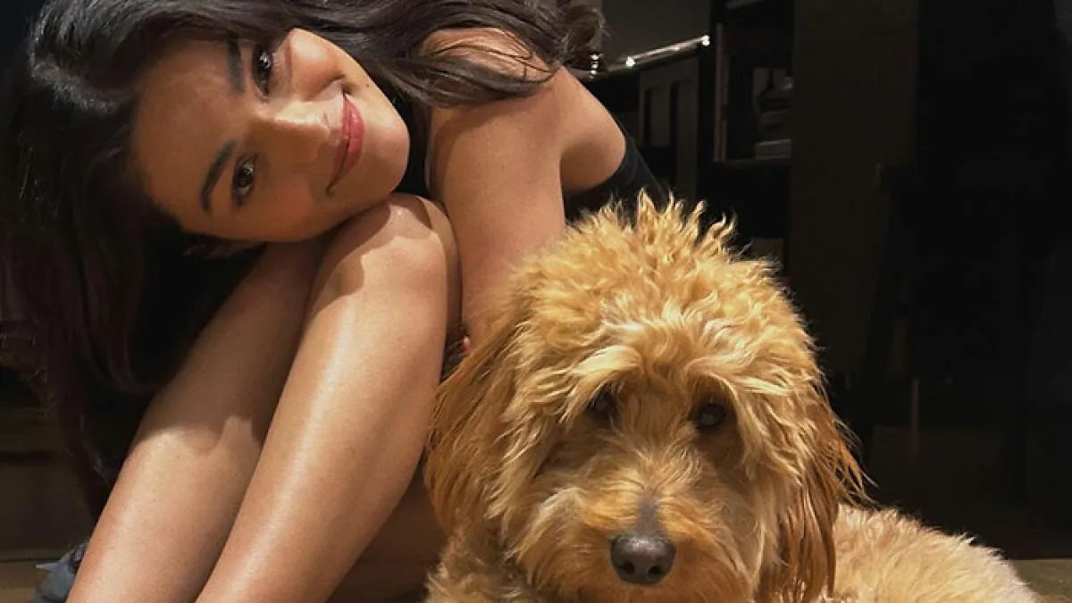 "How About You Do It": Rachel Zegler Begs Fans For Help With Sick Dog, It Spectacularly Backfires