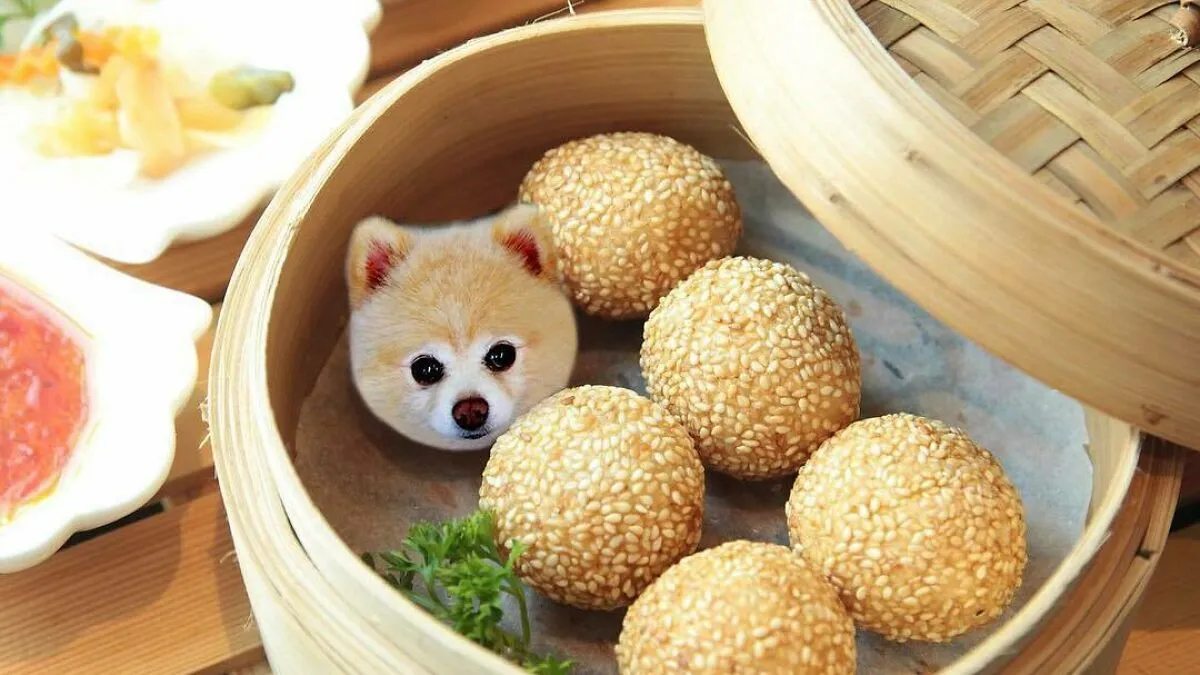 Here Are 30 Brilliant Examples Of Photoshop Between Food And Animals That I Collected