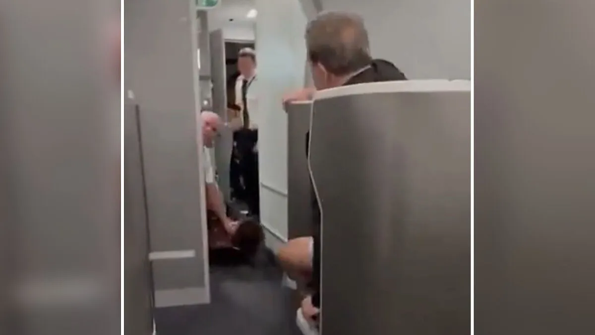 American Airlines Flight Delayed After “Karen” Tries Storming Plane Cockpit