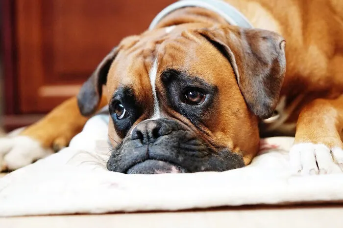 30 Small Things That Unexpectedly Saved People’s Lives