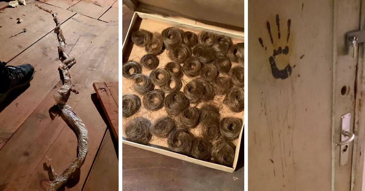 35 Personas asustadas tras mudarse a una casa nueva y descubrir que venía con «sorpresa» (nuevas fotos)