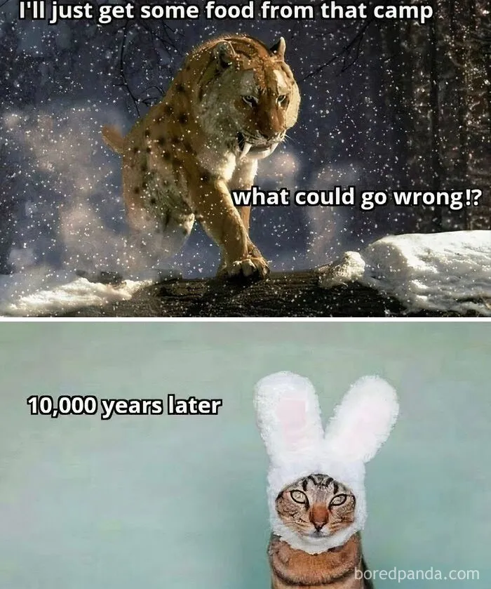 Historical-Memes-Funny