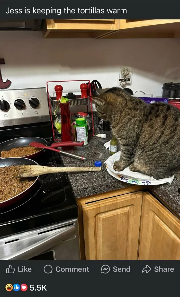 46 Times Food Looked So Bad, People Just Had To Shame It