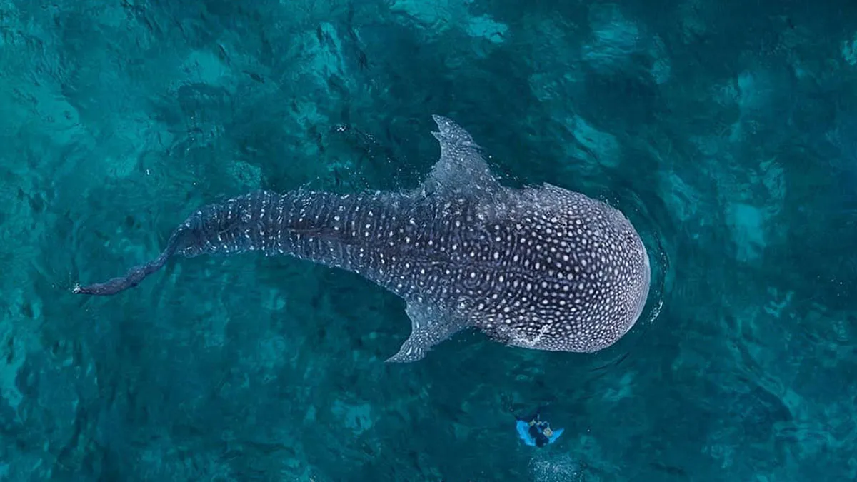 Exploring The World From Above: 35 Drone Pics By Dimitar Karanikolov