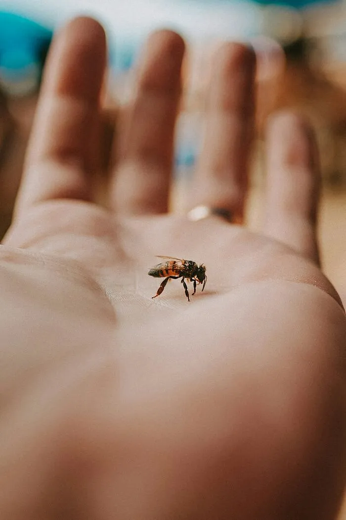 30 Doctors Share The Weirdest And Most Disgusting Things Found In People’s Bodies