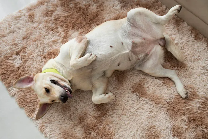 "What Was Your 'I Can't Believe I Have To Explain This To An Adult' Moment?" (34 Replies)