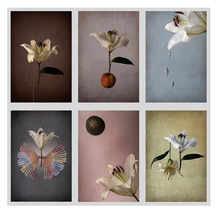 "My Self, Without Me" By Susana Florez Febles