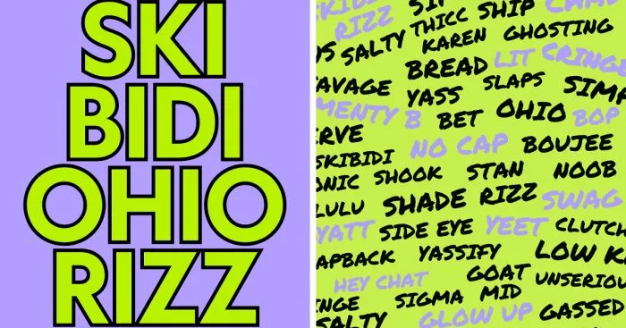 I Made This Funny Workbook-Style Book Called Skibidi Ohio Rizz