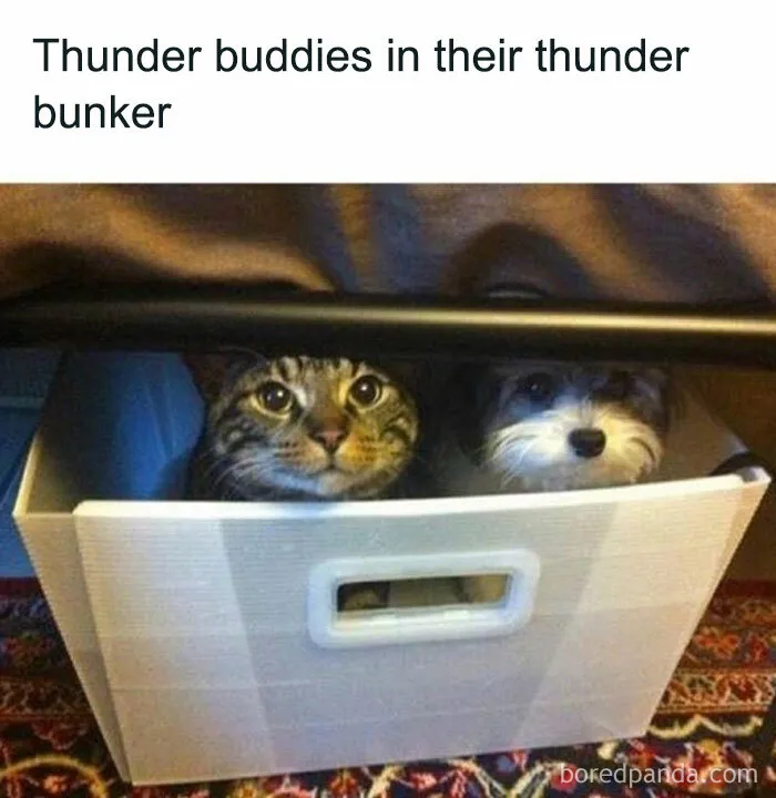 Always Makes Me Smile