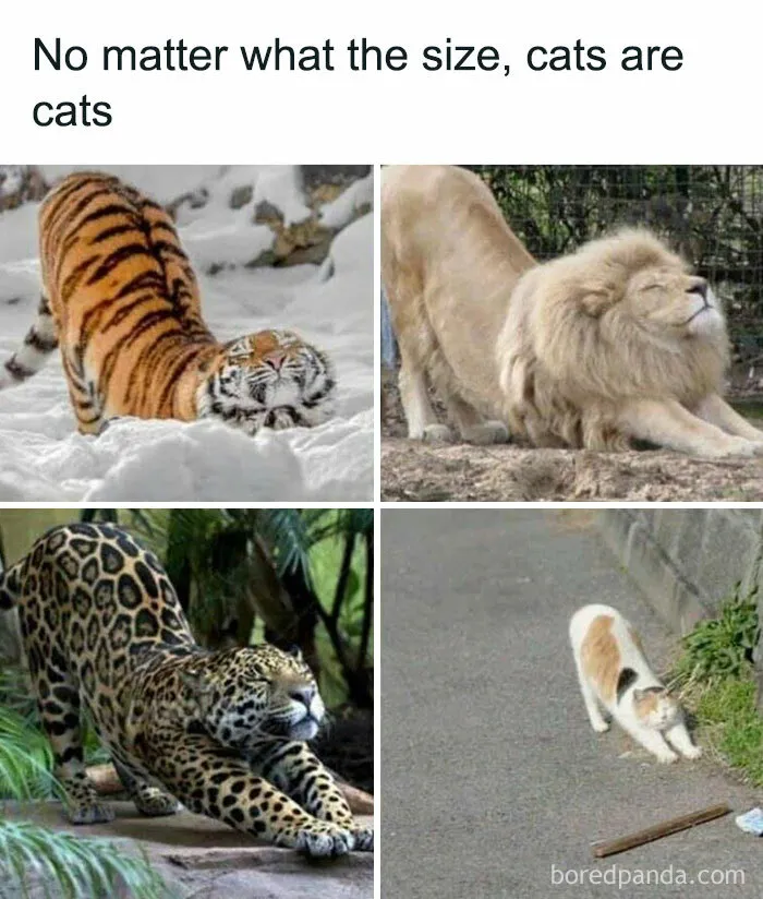 They're All The Same