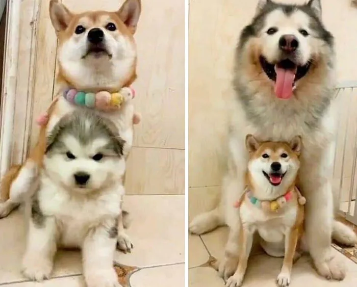 His Destiny Was To Become A Unit